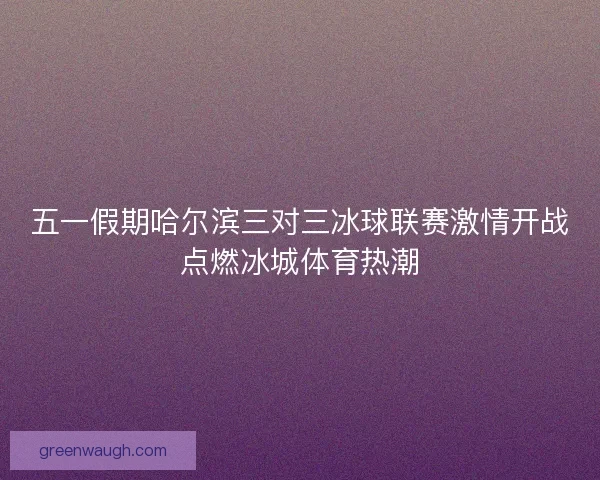五一假期哈尔滨三对三冰球联赛激情开战点燃冰城体育热潮