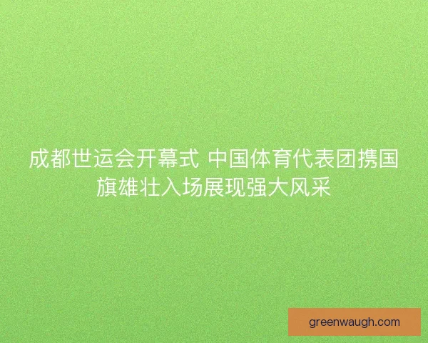 成都世运会开幕式 中国体育代表团携国旗雄壮入场展现强大风采