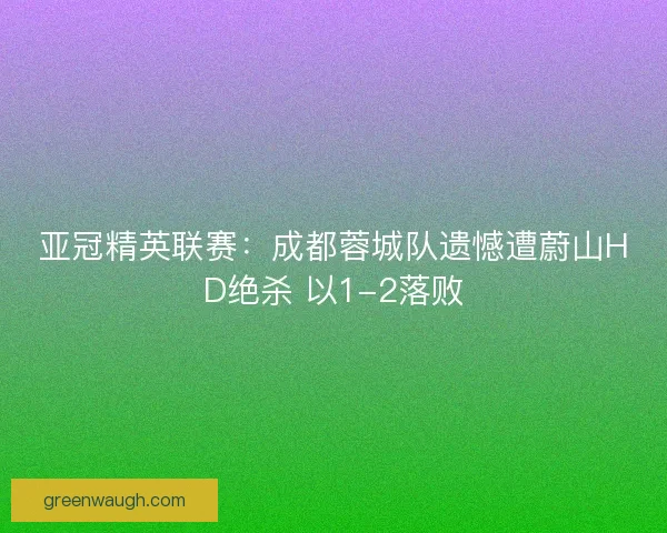 亚冠精英联赛：成都蓉城队遗憾遭蔚山HD绝杀 以1-2落败